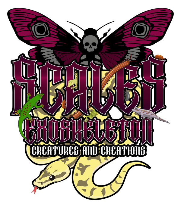 Scales & Exoskeletons